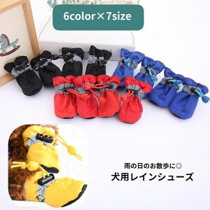  pV[Y hbOV[Y CV[Y Cu[c C JC ybgpi h[R[h ~ h ̌C ی U J̓ o|