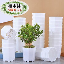 楽天市場】植木鉢 激安（ガーデニング・農業｜花・ガーデン・DIY）の通販