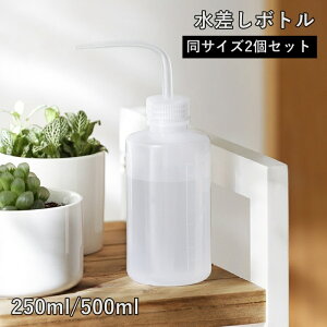  {g 2Zbg hbv{g W[ 傤 J[umY |pi ׌ hR ϗtA A  K[fjO 