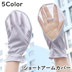  A[Jo[ nhJo[ V[g Z fB[X  wl Ăh~ O΍   w Vv bV n ̍b Jo[ TCNO AEghA 킢