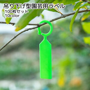  |x Ax 100Zbg |pi ݂艺 | zCg O[ u[ sN JoLx