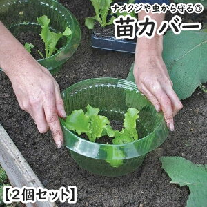  cJo[ 2Zbg cLbv cK[h یJo[ iNW  ƒ؉ K[fjO ƒ_ |pi ی^ ~^ ͂ ȒP ֗