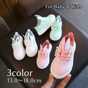  JWAC [XAbvV[Y C qp LbY xr[ ̎q ETM̎ U[ tFCNp[ gbh o  킢 fC[ ig