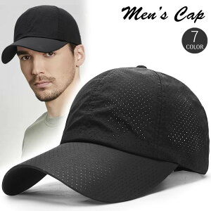  Lbv Y fB[X Xq ڂ LbvX 싅X Vv n LoXn ʋC   킢  j am 