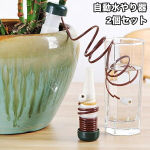   u 2Zbg U K[fjO  Aؔ A TCtH  A  Oo s o