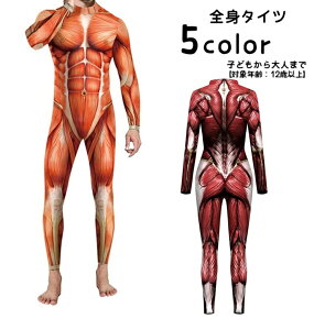  Sg^Cc {fB^Cc RX`[ RXvߑ  ^Cc lp l Y fB[X j  ؓ nEB p[eB[ Cxg ] Ղ ACe ϑ