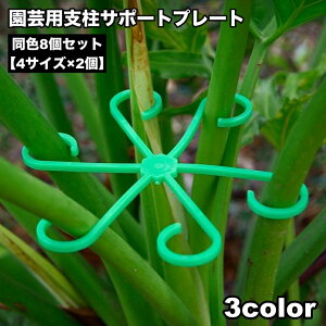  |pxT|[gv[g 8Zbg 4TCY xz_[ xpi Ap xŒ ƒ؉ _ K[fjO   |pi