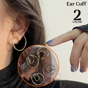  C[Jt fB[X ANZT[ C[Nbv CJt CO mz[sAX  C[ 傫 Ԃ