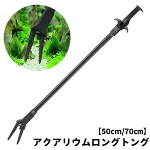  ANAEOgO pgO 50cm 70cm 琬 PA CAEg  |  ꏜ ͂  sZbg
