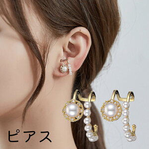  sAX ANZT[ fB[X tFCNp[ CXg[ F C[Jt LL   Mtg LO a v[g 蕨 t@bV p 