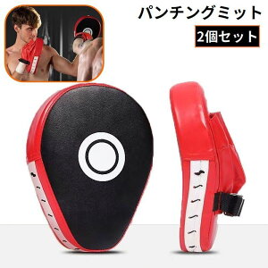 送料無料 パンチングミット キックミット 2個組 トレーニング 練習 格闘技 キックボクシング 空手 テコンドー ムエタイ ボクササイズ 武道 武術 スパーリング ミット打ち エクササイズ フィ