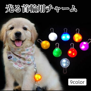 送料無料 首輪用チャーム お散歩ライト LEDライト ペンダント 犬用 ペット用品 セーフティーライト 光る 吊り下げ 夜間 安全対策 首輪アクセサリー