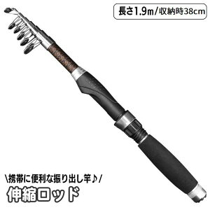 送料無料 釣り竿 振り出しロッド 投げ竿 伸縮式 ミニ コンパクト 携帯 38cm 1.9m 海釣り 釣具 フィッシング用品 小型 ポータブル 収納 アウトドア レジャー 旅行 釣り具