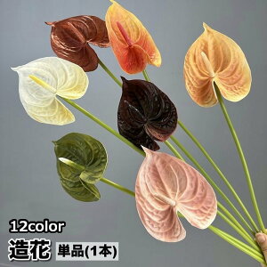   tFCNt[ 1{ AXE  CeAG t[AWg lH ͂Ȃ i`   DIY   i Y