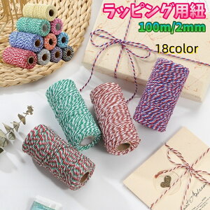  bsOpR 100m 2mm bsOpi   bsO{ וR v[g Mtg 蕨 JoLx