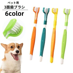  ybgpuV p Lp gvuV 3DuV 3ʃuV  f^PA  L a\h oPA  ybgpi Ckp lRp