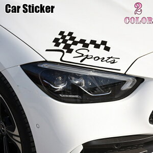  J[XebJ[ ԗpXebJ[ ԗpV[ {fBXebJ[ `FbJ[tbO ubN`FbN  p S Sports J[pi ԗpi J[ANZT[  