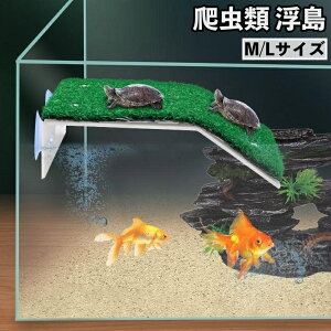   ঒ p zՎt  J gJQ ȂڂeX VF^[ B ANAE T xe n bNX