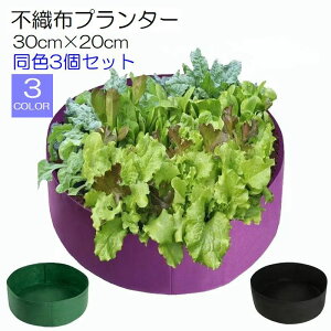送料無料 不織布プランター 不織布植木鉢 3個セット 植木鉢 プランター ガーデニング 植栽 丸型 丸底 ラウンド 軽い 便利 簡単 黒 紫 緑