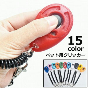  NbJ[ p pi g[jOpi P ybgpi ybgObY R~jP[VObY J iXJt  U nhXgbv XgXgbv