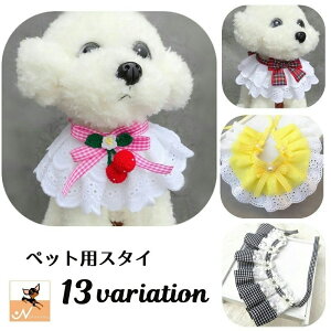  ybgpX^C 悾ꂩ Eh^ ybgpi ObY LObY t [X { MK`FbN TN{ t[`[t 360°  킢 o 