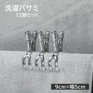  oT~ 󕨂΂ s` 12Zbg Y  Nbv 9×5cm XeX 󕨗 zc ѕz pi G