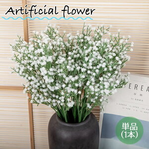   tFCNt[ 1{ hE_ccW  CeAG t[AWg lH ͂Ȃ i`   DIY   i Y 