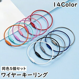  L[z_[ C[L[O F5Zbg C[O lW ˂  JM h~ h~ h~ ւ  p[c JoLx