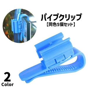  pCvNbv F5Zbg z[Xz_[  ANAEpi z[X pCv Œ |   Mы ֗