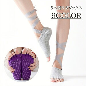  K\bNX fB[X 5{w\bNX w I[vtBK[ V[g\bNX [XAbv R { C ~ PF Vv n Ԃ  wl X|[c W