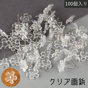  e 100 [ pi т傤 NAJ[  t[  s vbVs 킢 ֗ |X^[ RN{[h