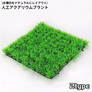  p lH lHŐ vX`bN I[ig ANAEvg O[OX lHϗtA i  