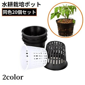  k͔||bg c|bg 20g Aؔ A琬Jbv bV  ϗtA  K[fjO ͔| | ʋC