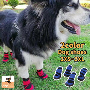  pV[Y C ybgp ~  L }WbN e[v ^ ^ ^ ی h~ h   U LOʐ^ Mtg v[g  lR