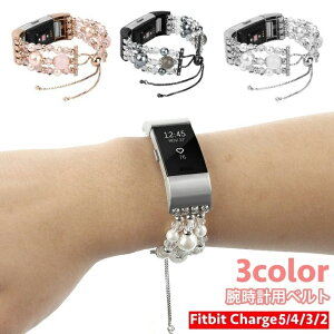  rvpxg Fitbit Charge5 Charge4 Charge3 Charge2 xg ւxg fB[X  uXbg tFCNp[ p[ r[Y   p tւ AW 
