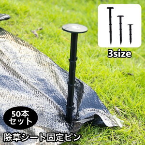  V[gŒs 50{Zbg hV[gp Œp ɂ s K[fjO ƒ؉  _ _Ɨp _Ǝ 11cm 16cm 20cm