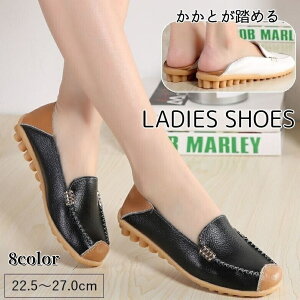  [t@[ fB[X p C V[Y hCrOV[Y U[ v 傫TCY  ߂ JWA 