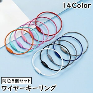  L[z_[ C[L[O F5Zbg C[O lW ˂  JM h~ h~ h~ ւ  p[c JoLx