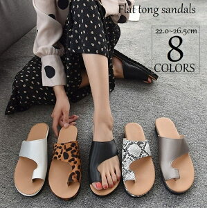  gOT_ tbgT_ JbgIt fB[X V[Y C ؂ t n qE pC\ ewxg JWA ][g  [h