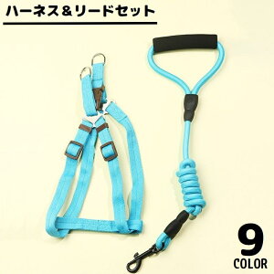  n[lX [h Zbg ybgpi ^ ^ L Obvnht  xXg  [v UR [V