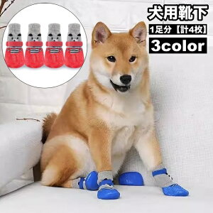  pC 1 v4 hbO\bNX ybgpi  ~ߕt h ΍ ی CfUC \h  h~ Ckp