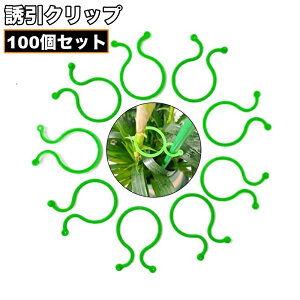  UNbv 100Zbg |Nbv _ | K[fjO ږ  oh Œ    ֗ Nbv