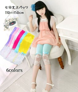  Xpbc LbY WjA ̎q {gX MX  Ђ [X { 킢 K[[ rrbh JoLx