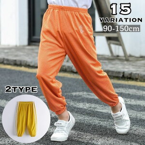  Opc LbY WjA xr[ q j̎q ̎q {gX Y{ WK[pc EGXgS S TChC bV ʋC t JWA fC[ ig