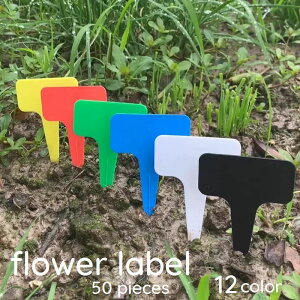  t[x 50Zbg |px K[fjO |pi RpNg Aؔ v^[ vX`bN Jɋ 킢  