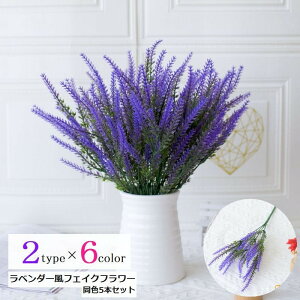  x_[tFCNt[ 5{Zbg  A[gt[ vX`bNt[  K[f CeA    킢 LC JoLx   