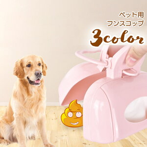  tXRbv gCXRbv ybgpi  L 񂿎  UObY o G`Pbg ^ ȒP ֗ [t ybgXRbv