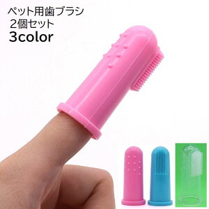  ybgp uV 2Zbg  Ck  L lR ˂ ybgpi ybgObY f^PA  wTbN^Cv VR oPA  L PF NA  u[ s