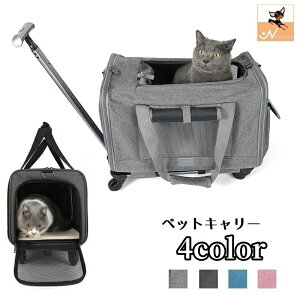  ybgL[J[g L[obO LX^[t {XgobO^ ybgObY ybgpi L  XNGA Rt s gx d o ړ gbvI[v T