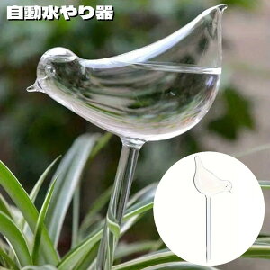    60ml ^ NA  A ϗtA } | K[fjOpi g^   O 璆 s o ȒP ֗ y 